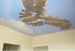 Натяжной потолок фотопечать «орел» msd