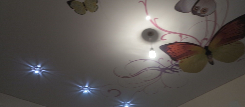 Фотопечать «Бабочка» MSD натяжной потолок фото №2