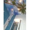 Мини-фото: С фотопечатью натяжной потолок с пальмами