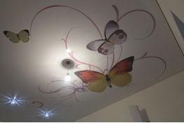 Натяжной потолок фотопечать «бабочка» msd