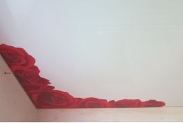 Натяжной потолок фотопечать «розы» msd
