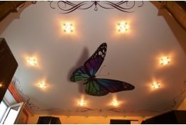Натяжной потолок одноуровневый «бабочка»