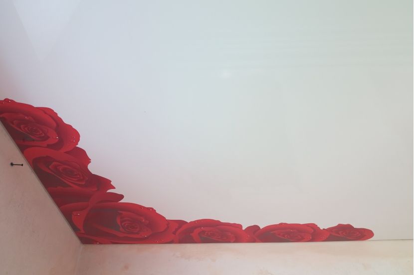 Фотопечать «Розы» MSD
