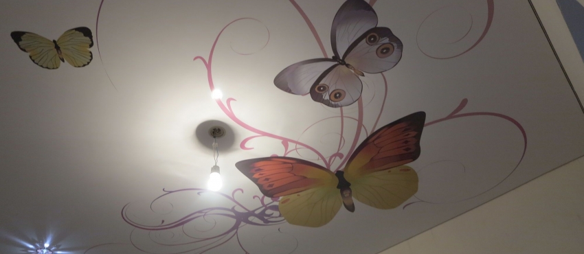 Фотопечать «Бабочка» MSD натяжной потолок