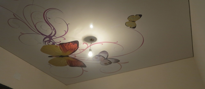 Фотопечать «Бабочка» MSD натяжной потолок фото №1