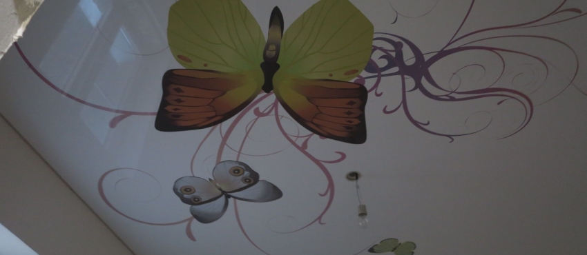 Фотопечать «Бабочка» MSD натяжной потолок фото №3