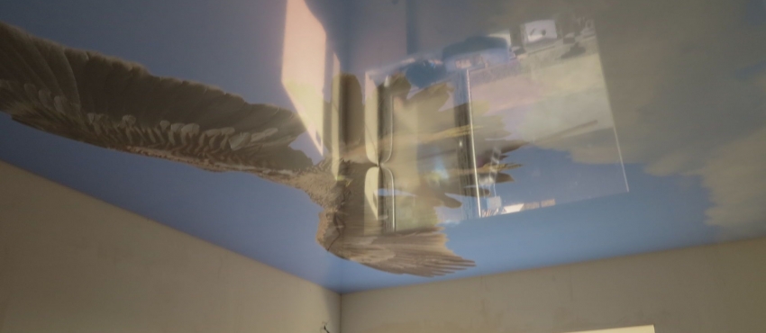 Фотопечать «Орел» MSD натяжной потолок фото №2