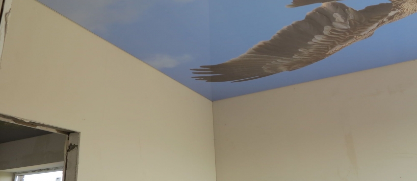 Фотопечать «Орел» MSD натяжной потолок фото №4