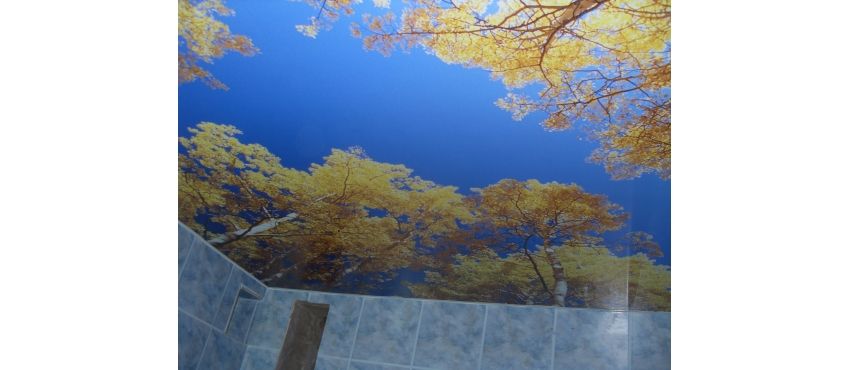 Фото: С фотопечатью натяжной потолок с деревьями (осень)