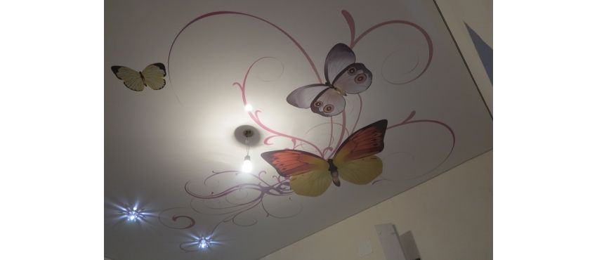 Фото: С фотопечатью натяжной потолок с бабочками №2