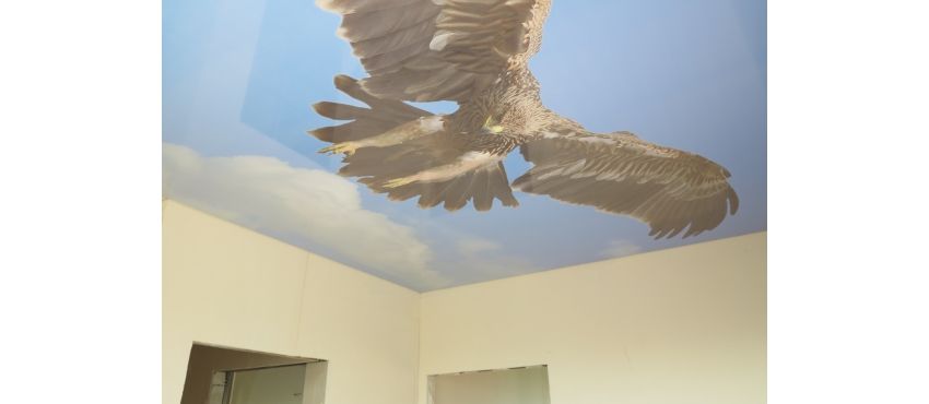 Фото: С фотопечатью натяжной потолок с орлом