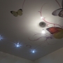 Фотопечать «Бабочка» MSD натяжной потолок мини фото №2