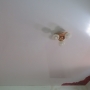 Фотопечать «Розы» MSD натяжной потолок мини фото №2