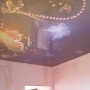 Фотопечать «Бабочки» MSD натяжной потолок мини фото №4