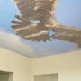 Фотопечать «Орел» MSD натяжной потолок мини фото №1