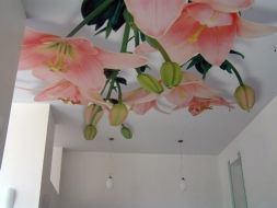 Фото: Натяжной потолок с фотопечатью с цветами