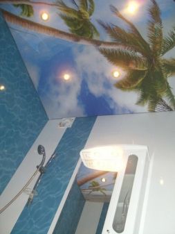 Фото: Натяжной потолок с фотопечатью с пальмами