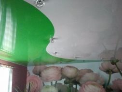 Фото: Натяжной потолок криволинейная спайка бело-зеленый