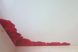 Фото: Натяжной потолок с фотопечатью с розами